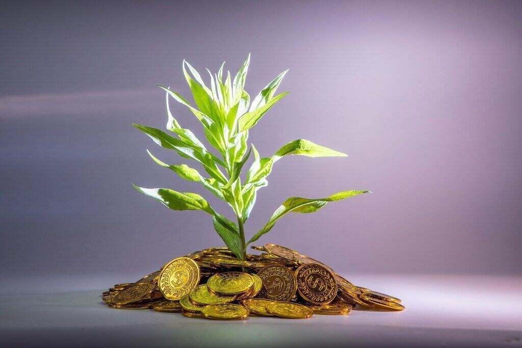 The Rise of Sustainable Finance: Investing in a Greener Economy